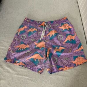 Chubbies Dinosaur Print Shorts with Liner Removed Size Large